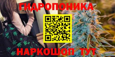 хмурый Партизанск
