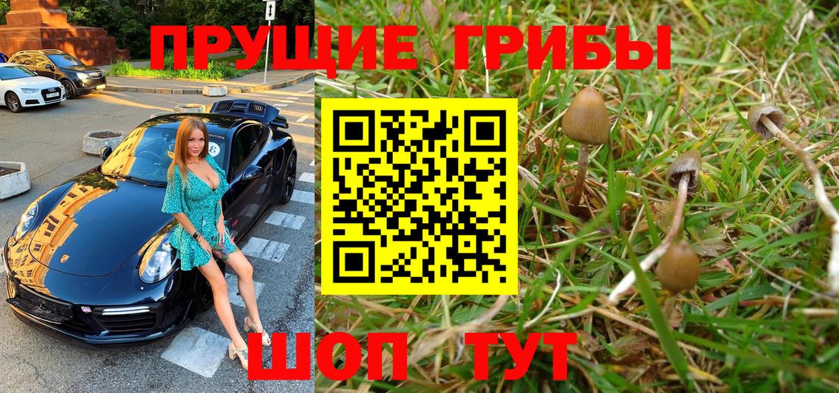 Галлюциногенные грибы Psilocybe  магазин продажи   Партизанск  Вход с VPN 