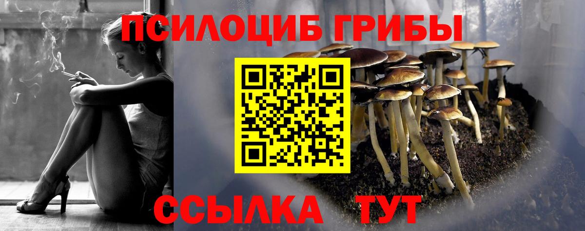 Псилоцибиновые грибы Cubensis Партизанск